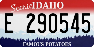 ID license plate E290545