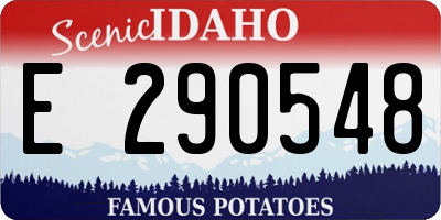 ID license plate E290548