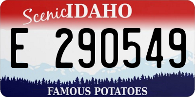 ID license plate E290549