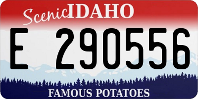 ID license plate E290556