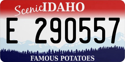 ID license plate E290557