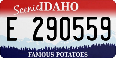 ID license plate E290559