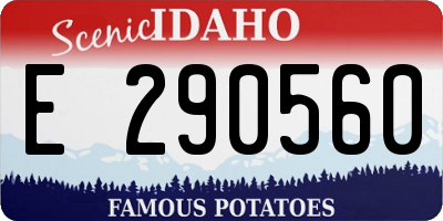 ID license plate E290560