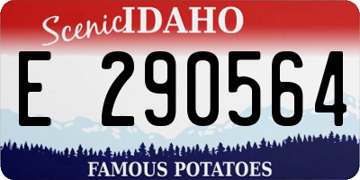 ID license plate E290564