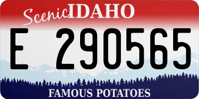 ID license plate E290565