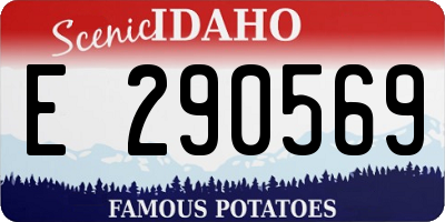 ID license plate E290569