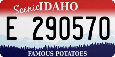 ID license plate E290570