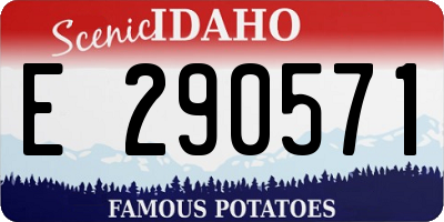 ID license plate E290571