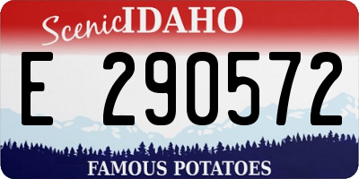 ID license plate E290572