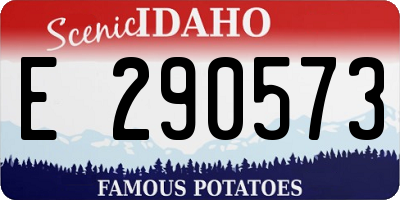 ID license plate E290573