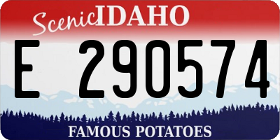 ID license plate E290574