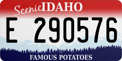 ID license plate E290576