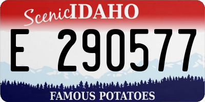 ID license plate E290577