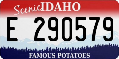 ID license plate E290579