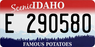 ID license plate E290580