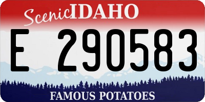 ID license plate E290583