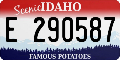 ID license plate E290587