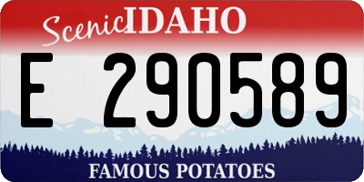 ID license plate E290589