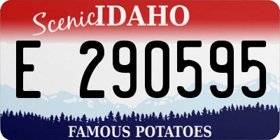 ID license plate E290595