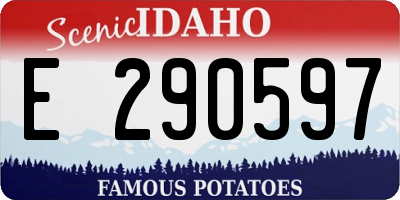 ID license plate E290597