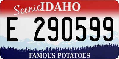 ID license plate E290599
