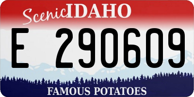 ID license plate E290609