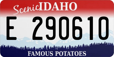 ID license plate E290610