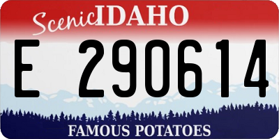 ID license plate E290614