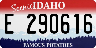 ID license plate E290616