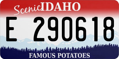 ID license plate E290618