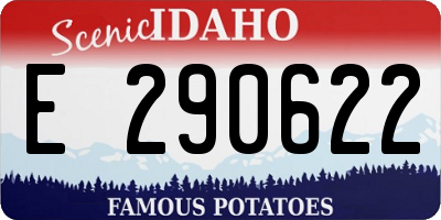 ID license plate E290622