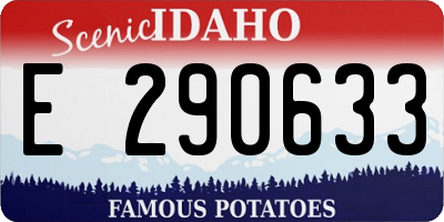 ID license plate E290633