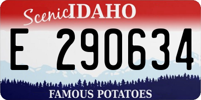 ID license plate E290634