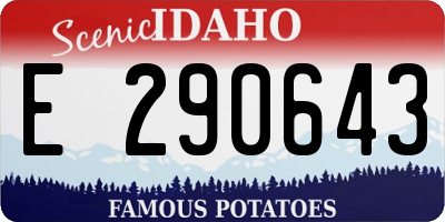ID license plate E290643