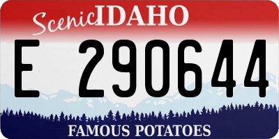 ID license plate E290644