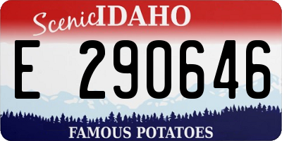 ID license plate E290646