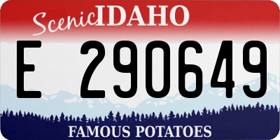 ID license plate E290649