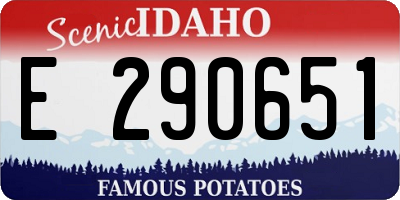 ID license plate E290651