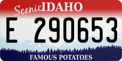 ID license plate E290653