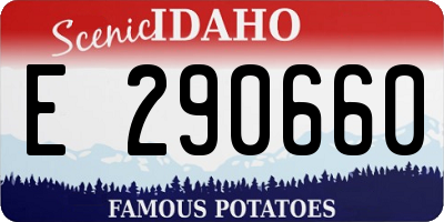 ID license plate E290660
