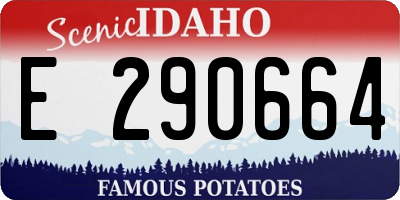 ID license plate E290664
