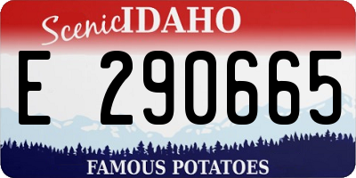 ID license plate E290665