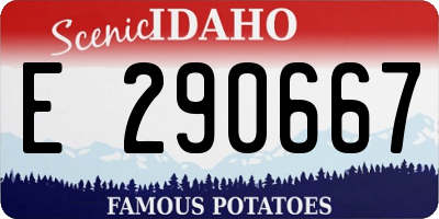 ID license plate E290667