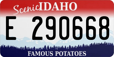 ID license plate E290668