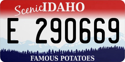 ID license plate E290669