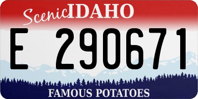 ID license plate E290671