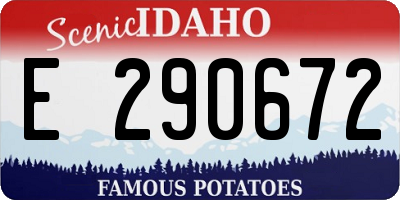 ID license plate E290672