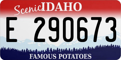 ID license plate E290673