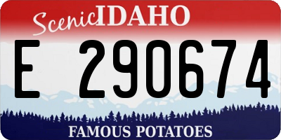 ID license plate E290674