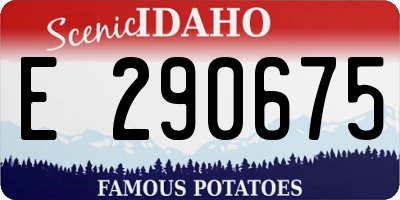 ID license plate E290675